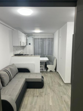 Apartament Alex
